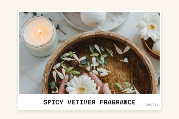 spicy vetiver fragrance