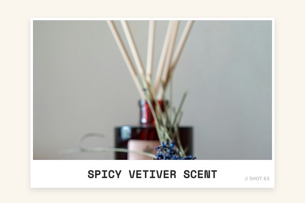 spicy vetiver scent
