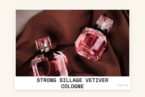 strong sillage vetiver cologne