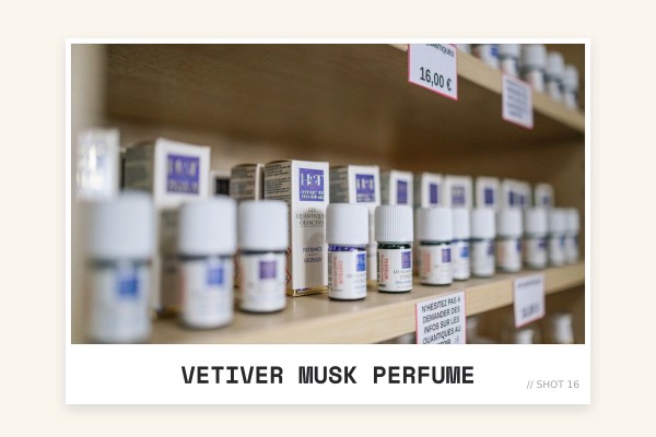 vetiver musk perfume
