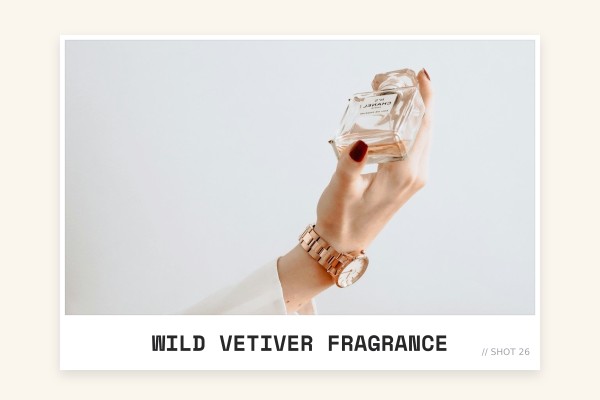 wild vetiver fragrance